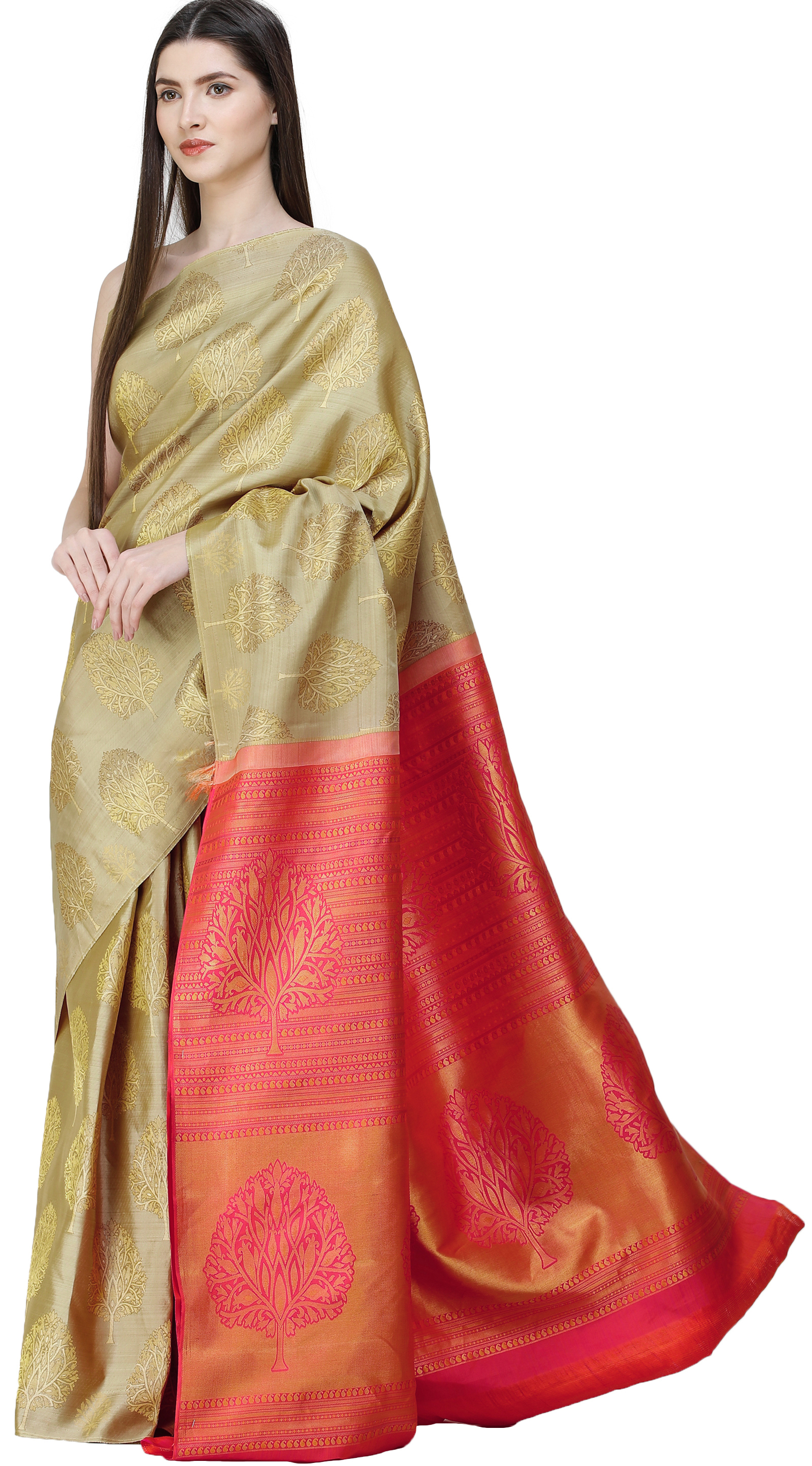 Gravel-Beige Uppada Fusion Sari from Bangalore with Zari-Woven